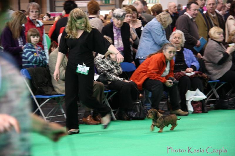 Crufts2011_2 783.jpg